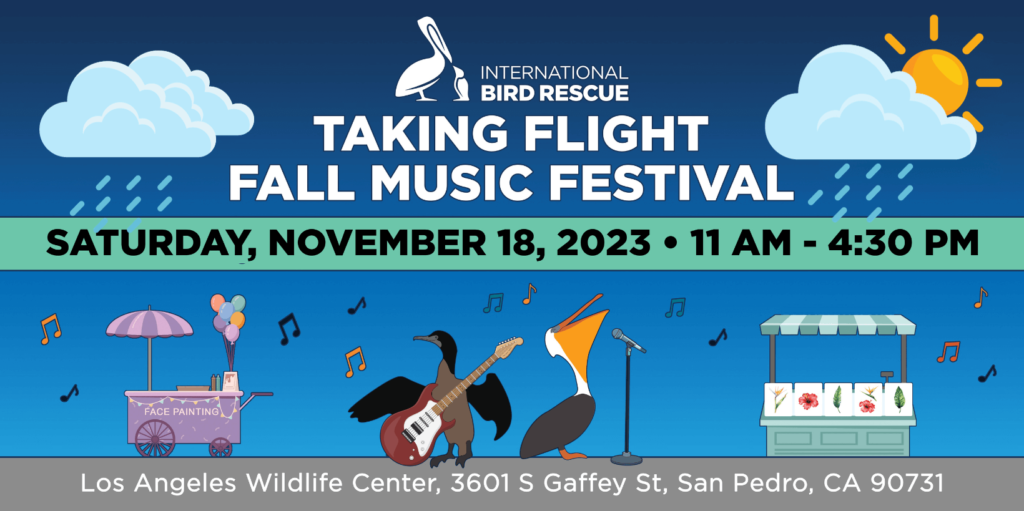 Taking Flight Fall Music Festival International Bird Rescue Event Banner